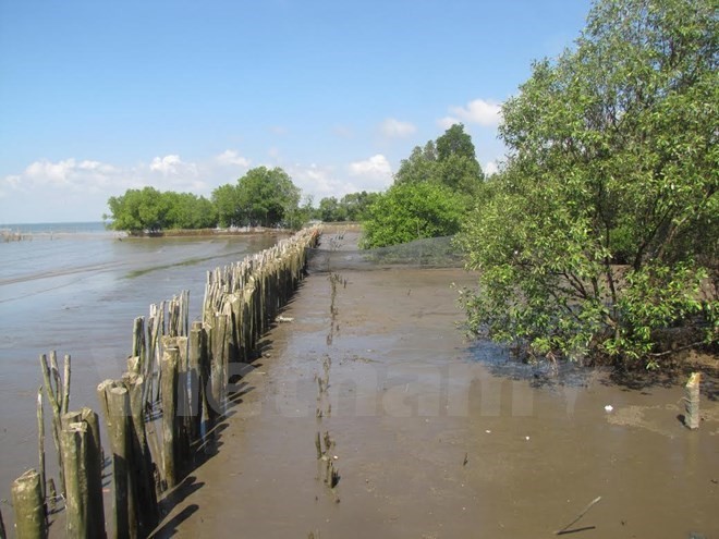 Investment in protecting water resources in Mekong Delta - ảnh 1